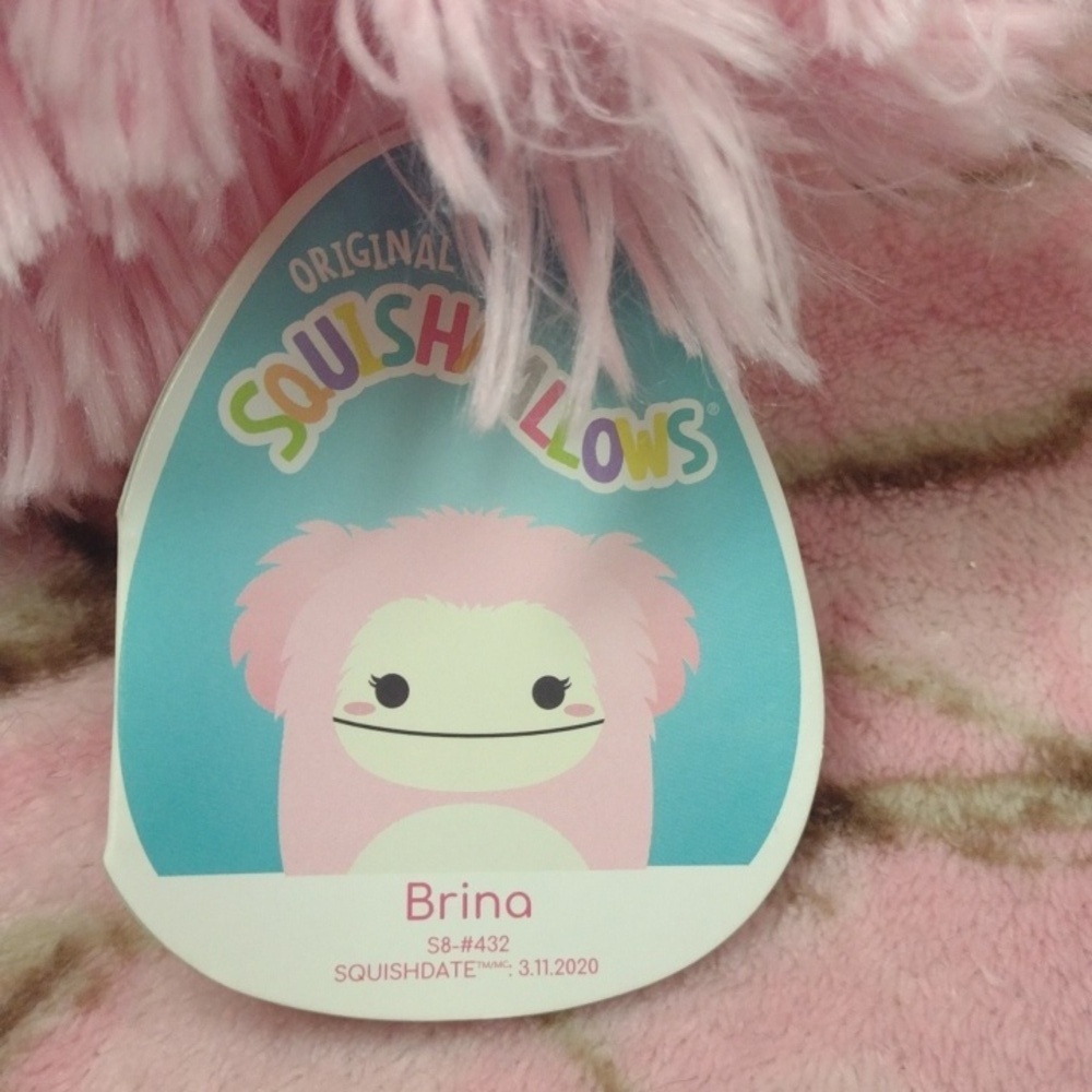 8" Brina Squishmallows BNWT, Mint Condition - Picture 4 of 6